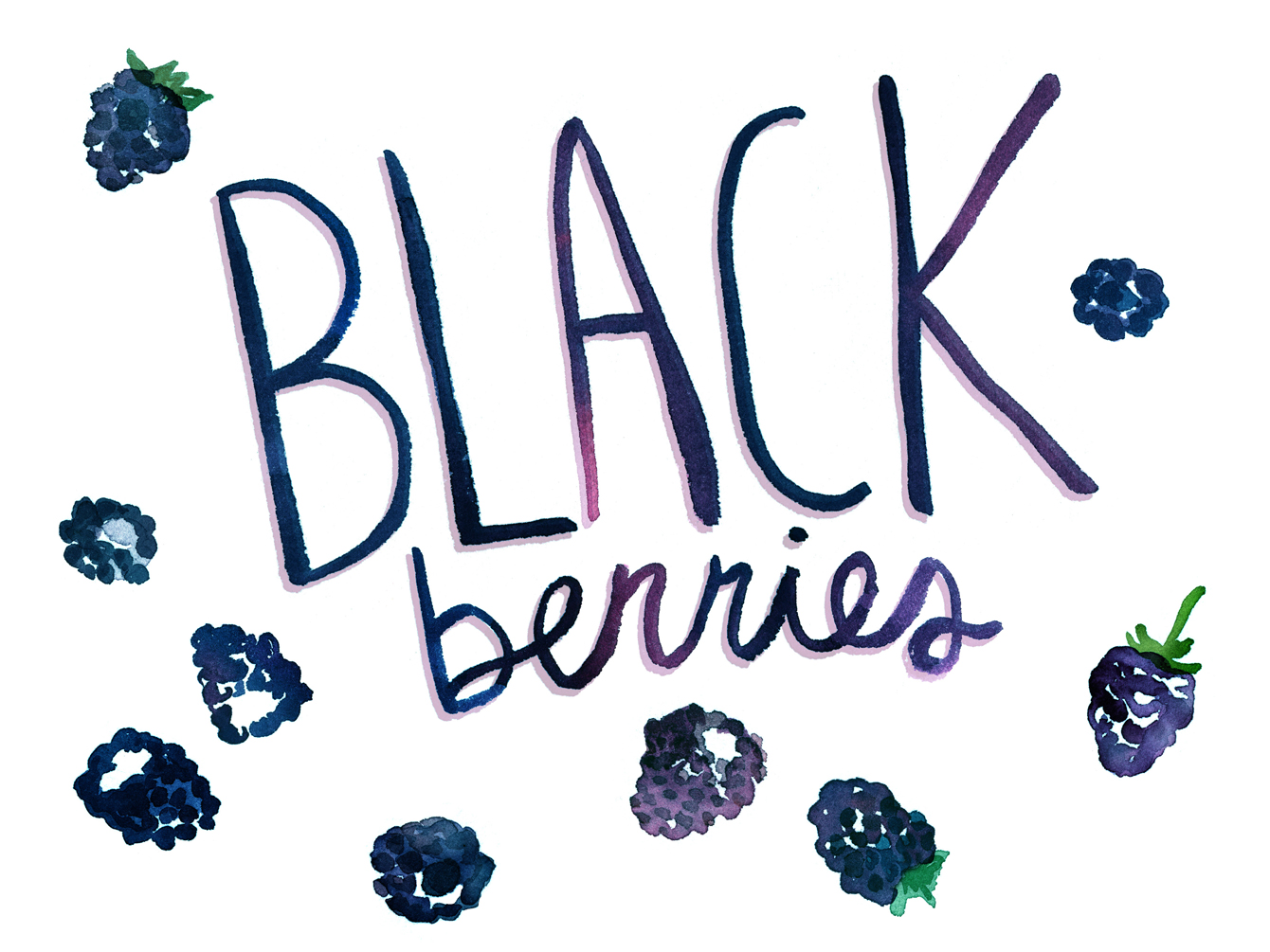 blackberry watercolor illustration