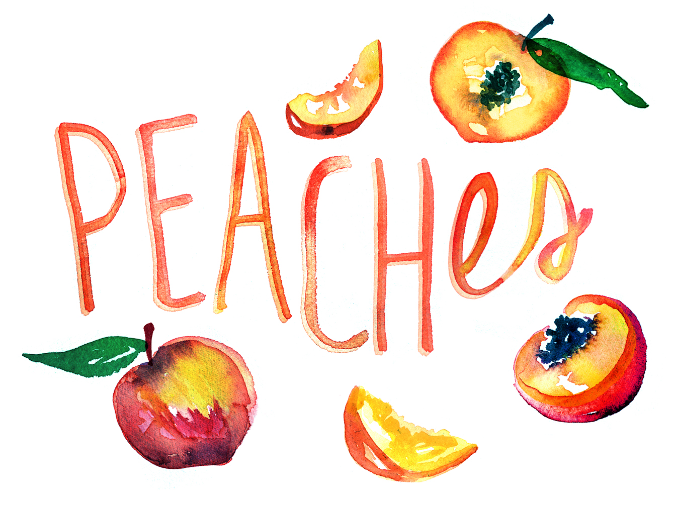 fruit watercolor illustration