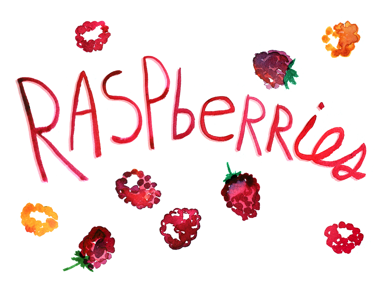 berries watercolor illustration