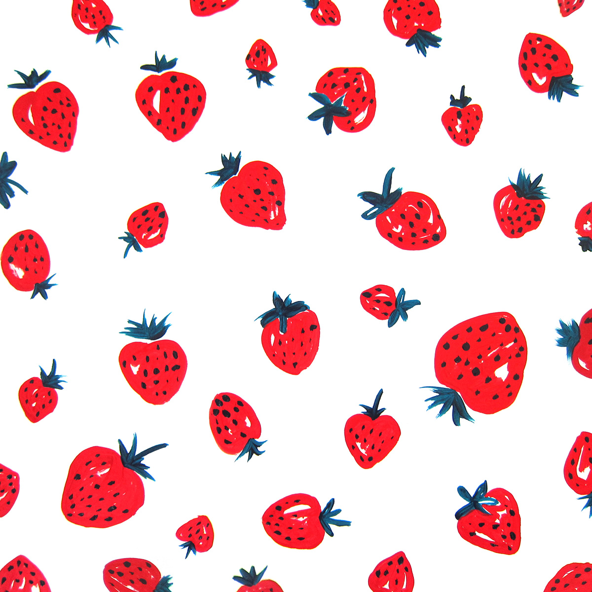 strawberries illustration