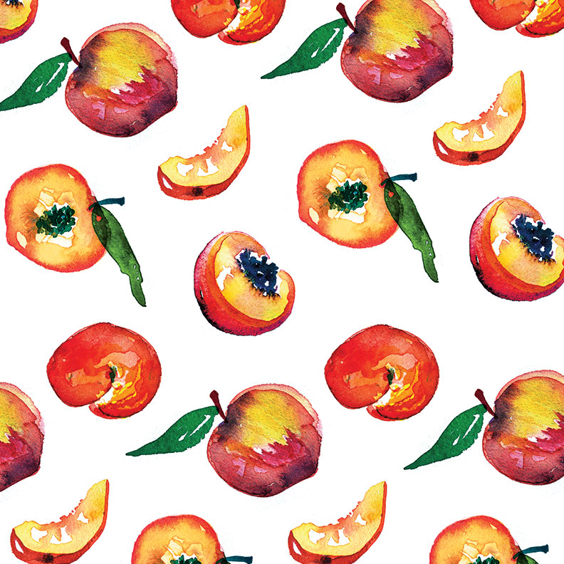 summer fruit illustration
